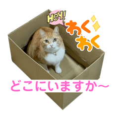 pon_20250214002949