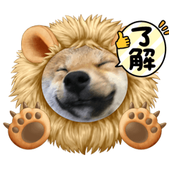 ROOTUS4m_20250213214746