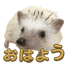 yukio_20250213214950