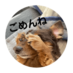 misaki_20250213221721