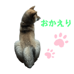 choco_20250214023429