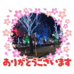 yuki_20250214074653