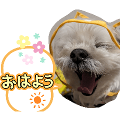 sinnba_20250214092207