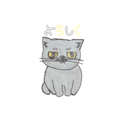 Utamaru_20250214114329