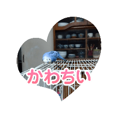 siro_20250214094150