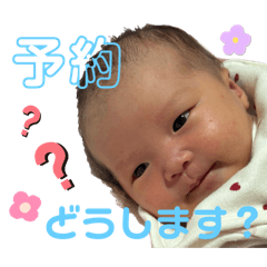 mochi_20250214104601