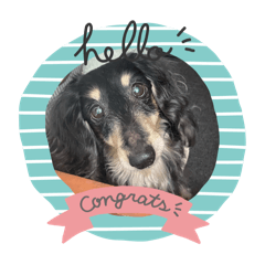 フィーストタスクスタンプ