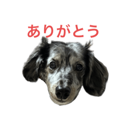 yuka_20250214124259