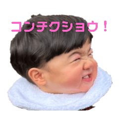 Yayoi_20250214130833