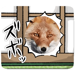 YUKIE_20250213163215
