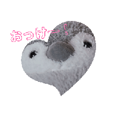 yuga_20250213213721