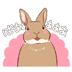 Labbit's okoge and tsumire  Illustrator