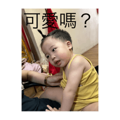 土城我瑞哥