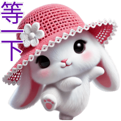 Cute bunny,rabbit is very cute.3(TW)