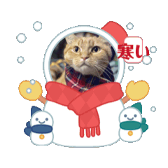 Ryo_20250214181658