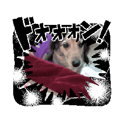 chisa_20250214175049