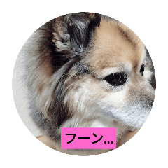 mahiro_20250214211950