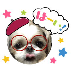 mayuyu_20250214213521