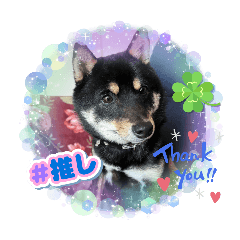 mikan_20250214173205