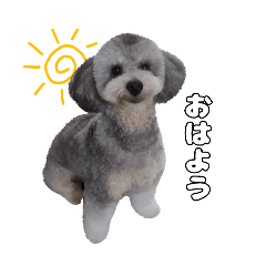 abc_20250214173910