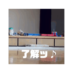 YUI_20250215021852