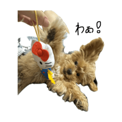 arosankawaii