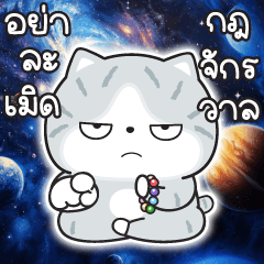 Munkaew little cat V.65