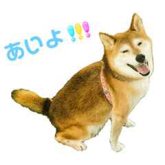 chie_20250214183330