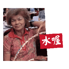 凱莉梗圖
