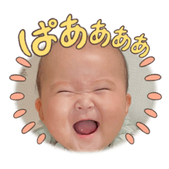 sena_20250215101136
