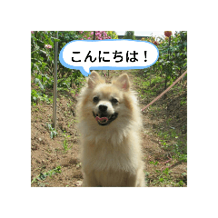 eri_20250214235844