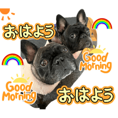 rainbow_20250214183733