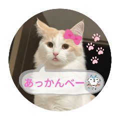 sato_20250215032121