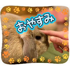 umi_20250215103132