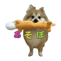 Yuna_20250215120739