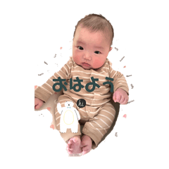 piyo_20250215121258