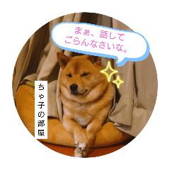 hina_20250215070445