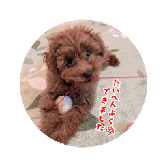 Mii_20250215102826
