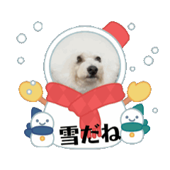 michimoco_20250215134317