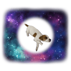 mii_20250215124336