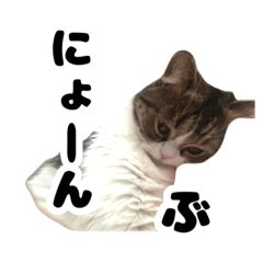 aiueo_20250215131639