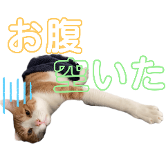 tyamike_20250215124312