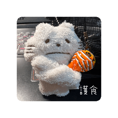 護食貓貓仔