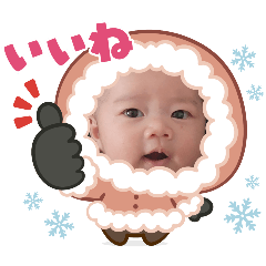 misa_20250215184949