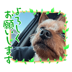 MISA_20250215184857