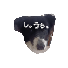aru_20250215204201