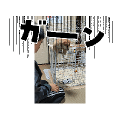 mei_20250215215231