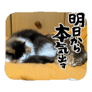 Myunyan_20250215215645