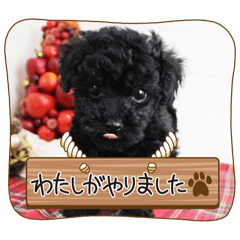 Hayato_20250215162908