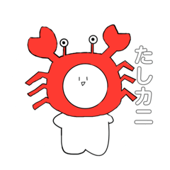 moko_20250215163614